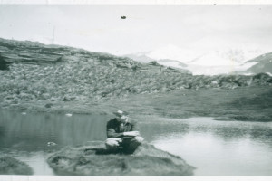 Bilde av Grytviken .